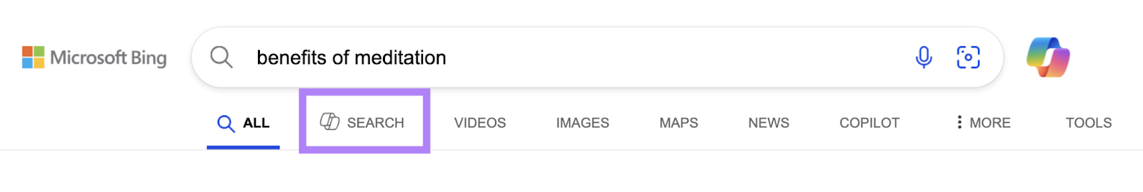 "Search" tab appears at the top of the SERP's navigation.