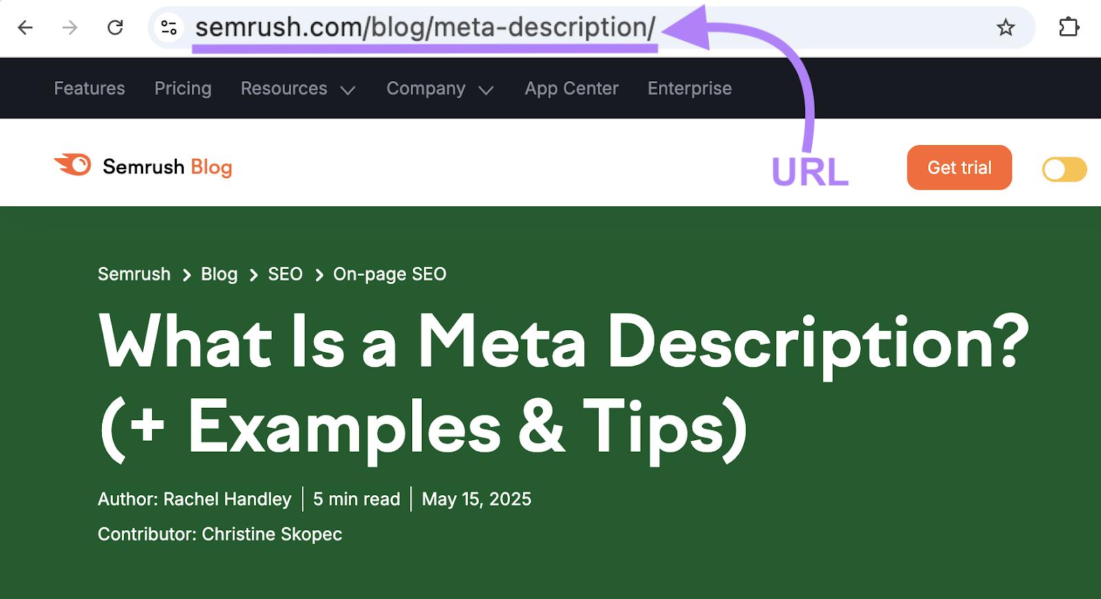 The URL in this example is semrush.com/blog/meta-description.