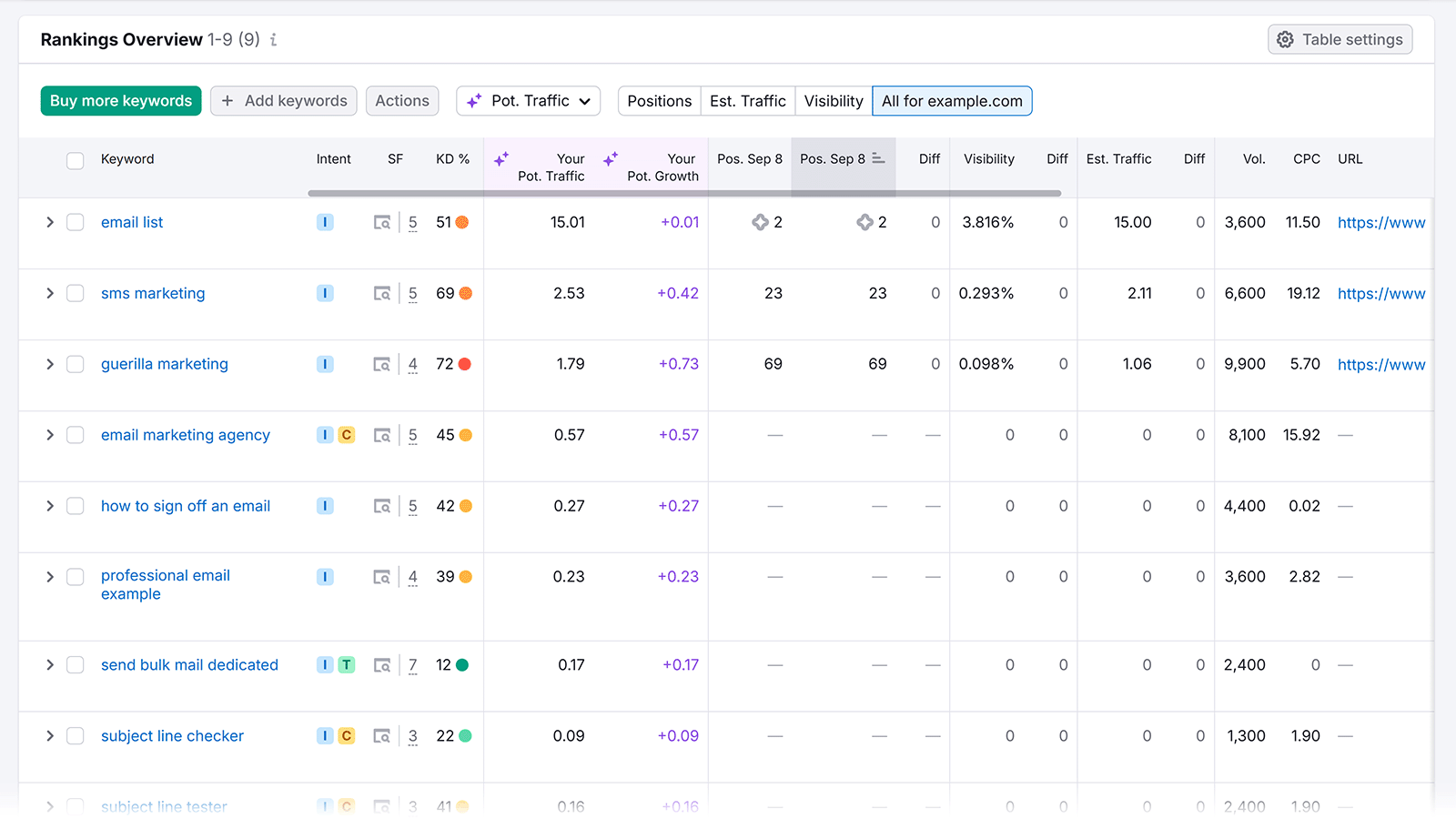 Rankings Overview table listing tracked keywords with positions, traffic, and other SEO metrics
